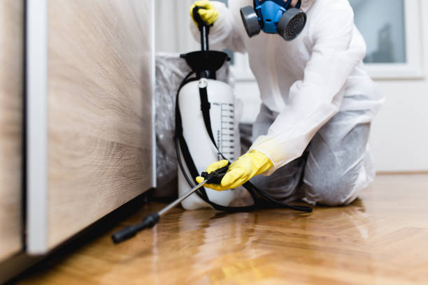 Best Commercial Pest Control Services  in Tavernier, FL