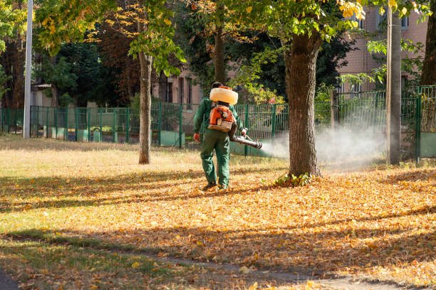 Reliable Tavernier, FL Pest Control Solutions