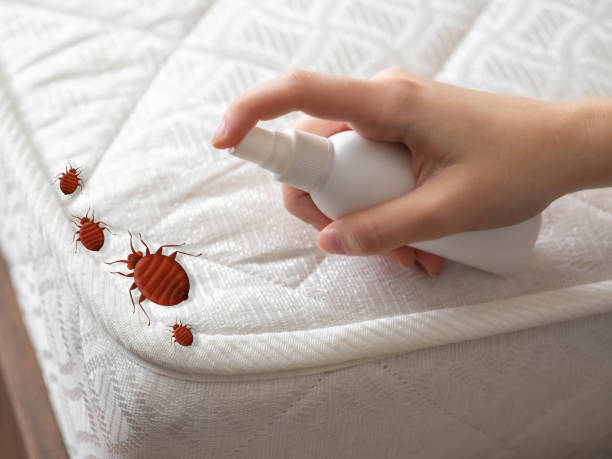 Pest Control Cost in Tavernier, FL